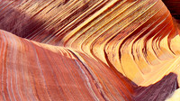The Wave