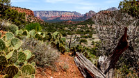 20100417-Sedona_Bear_Mtn_Trail-004