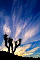 20110217-JTNP_Black_Rock_Sunrise-010