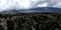 20130123-Kilimanjaro-3407