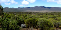 20130123-Kilimanjaro-3395