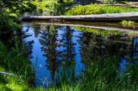 20150712-Minaret_Creek-256