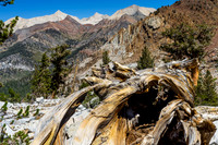 20140906-Mineral_King_Sawtooth_and_Mineral_Peaks-020