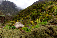 20130124-Mt_Kilimanjaro-Barranco_Valley-3526