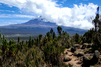 20130122-Mt_Kilimanjaro-3373
