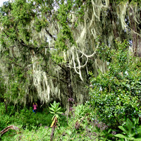 20130121-Kilimanjaro-3341