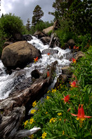 20080720-Onion_Valley_Kearsarge_Pass-056