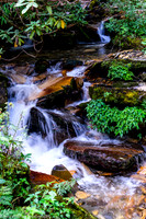Himalayan_Cascade