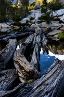 Fifth Lake Log Jam, Big Pine Lakes Basin