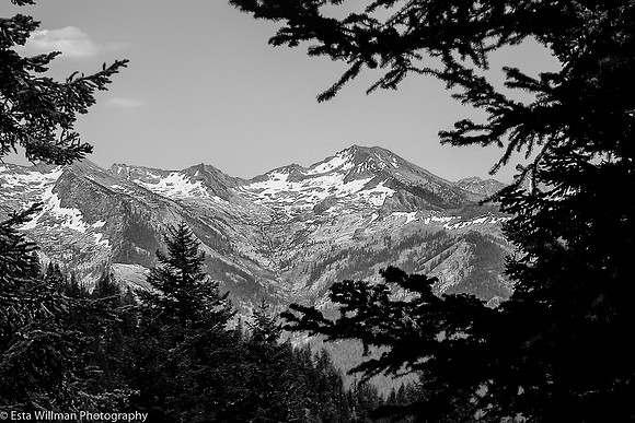 20090627-SEKI_Alta_Peak_Trail-235