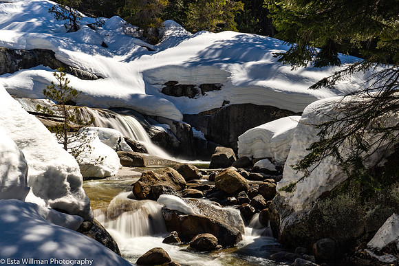 20190331-Tokopah Creek-173-Edit