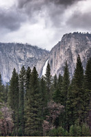20160326-Upper_Yosemite_Fall_from_Valley_Floor-182