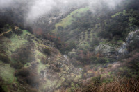 20151220-Salt_Creek_Winter_Day-108