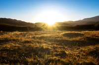 20140824-Sunrize_on_the_River_Trail-036
