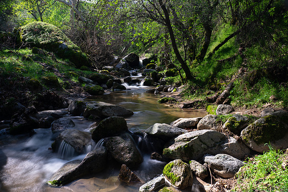 20190324-Salt Creek-043