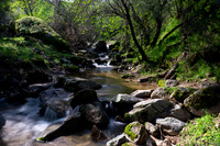 20190324-Salt Creek-043