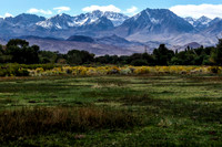 20081004-Bishop_Eastern_Sierra-016