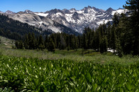 20170704-Alta Meadow and Kaweah Peaks, Sequoia NP-333