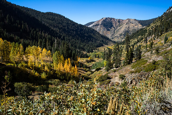 20161001-Mineral King Fall Colors-055