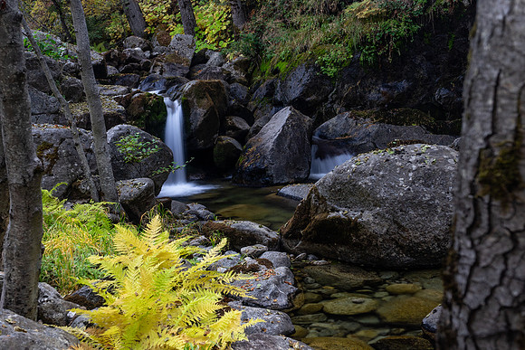 20191027-S Fork Kaweah River at Whiskey Log Camp-052