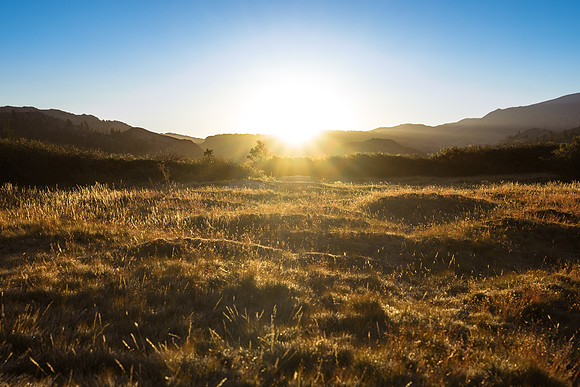 20140824-Sunrize_on_the_River_Trail-036