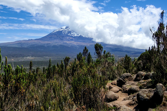 20130122-Mt_Kilimanjaro-3373