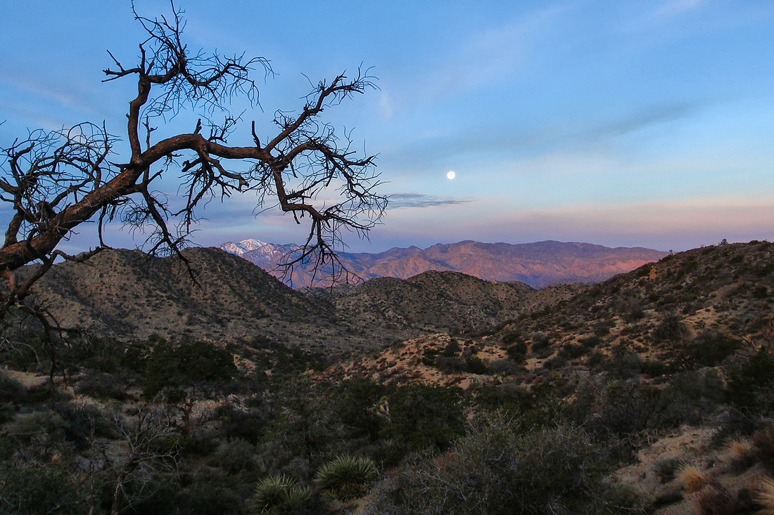 20100101-High_View_to_WP_JTNP-023